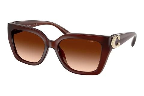 Lunettes de soleil Coach CW195 (HC8408U 584174)
