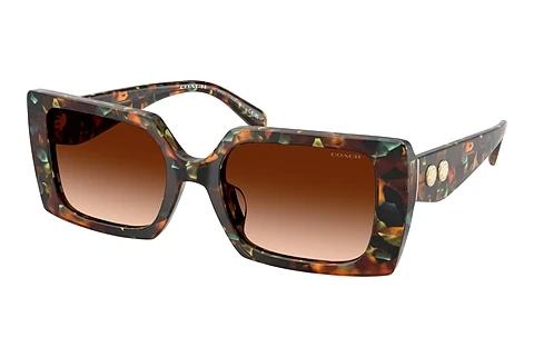 Lunettes de soleil Coach CW224 (HC8409U 584474)