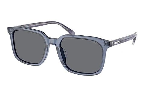 Lunettes de soleil Coach CW405 (HC8411U 582087)