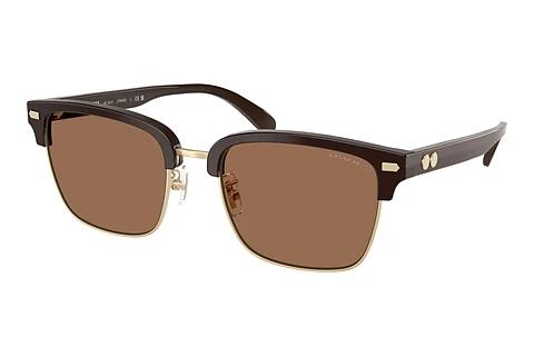 Lunettes de soleil Coach CW406 (HC8412 554273)