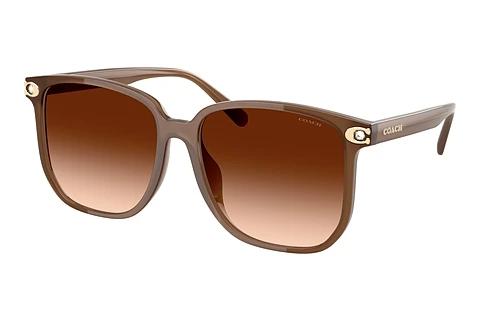 Lunettes de soleil Coach CW419 (HC8413BD 580874)