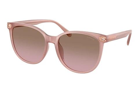Lunettes de soleil Coach CW428 (HC8414BD 583914)