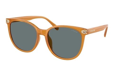 Lunettes de soleil Coach CW428 (HC8414BD 585580)
