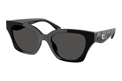Lunettes de soleil Coach CAD18 (HC8418U 500287)