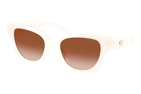 Lunettes de soleil Coach CAD18 (HC8418U 580513)