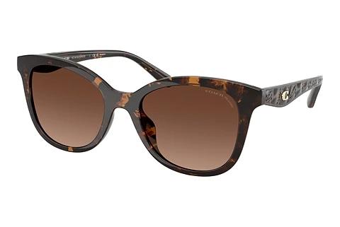 Lunettes de soleil Coach CAD25 (HC8419U 5120T5)