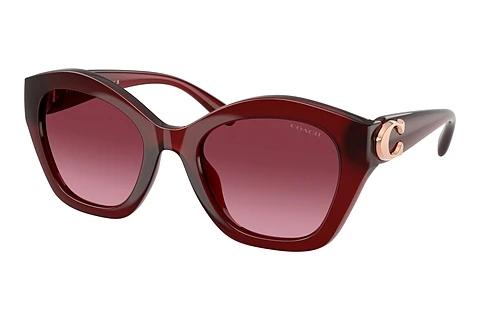 Lunettes de soleil Coach CAD31 (HC8421U 58708H)