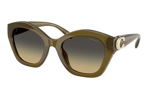 Lunettes de soleil Coach CAD31 (HC8421U 5872L0)