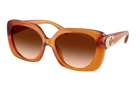 Lunettes de soleil Coach CAD33 (HC8422U 564774)