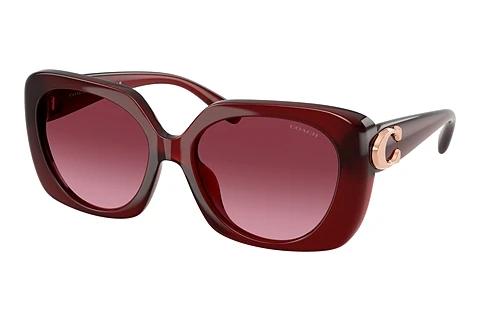 Lunettes de soleil Coach CAD33 (HC8422U 58708H)