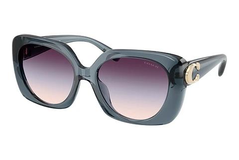 Lunettes de soleil Coach CAD33 (HC8422U 5871U7)