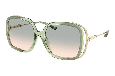 Lunettes de soleil Coach CAD80 (HC8423U 58902C)