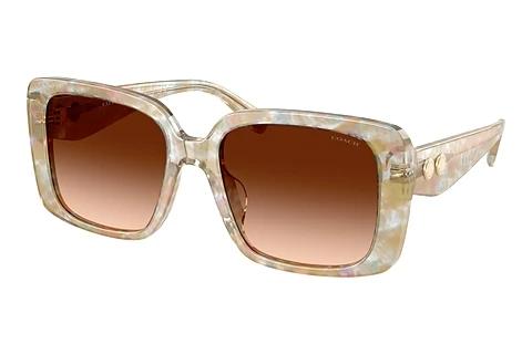 Lunettes de soleil Coach CAD54 (HC8424U 586874)