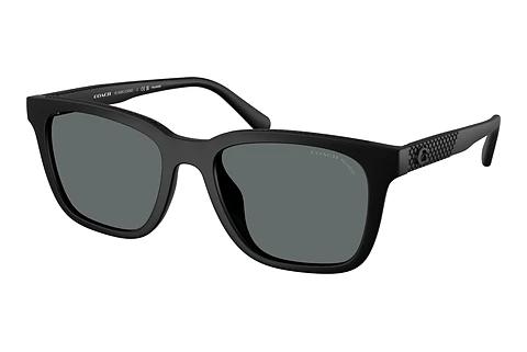 Lunettes de soleil Coach CAD81 (HC8426U 500281)