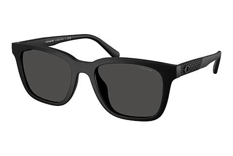 Lunettes de soleil Coach CAD81 (HC8426U 500287)