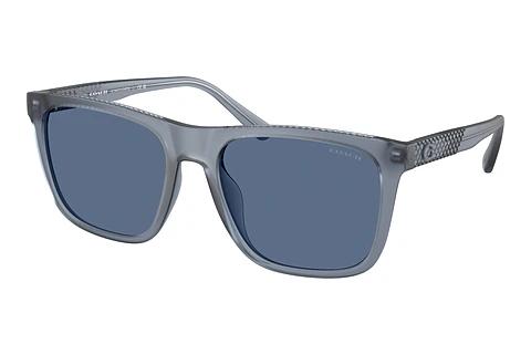 Lunettes de soleil Coach CAE78 (HC8427U 587780)