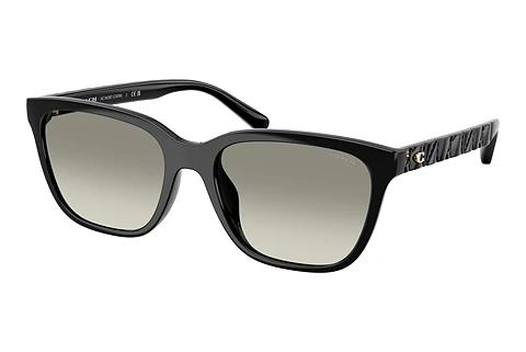 Lunettes de soleil Coach CAE86 (HC8429D 50023C)