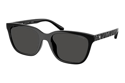 Lunettes de soleil Coach CAE86 (HC8429D 500287)