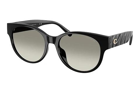 Lunettes de soleil Coach CAE87 (HC8430D 50023C)