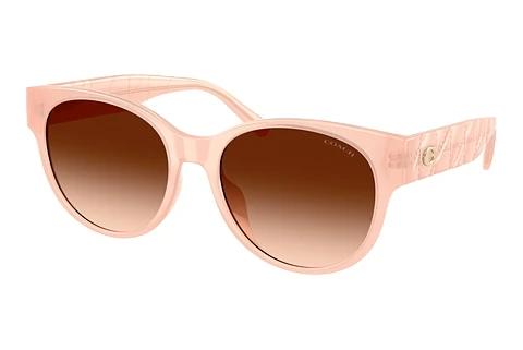 Lunettes de soleil Coach CAE87 (HC8430D 511374)
