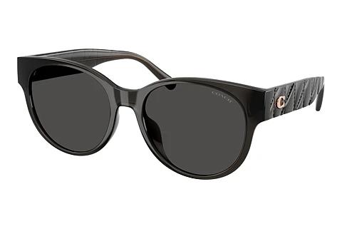 Lunettes de soleil Coach CAE87 (HC8430D 589787)