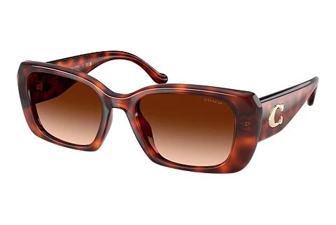 Lunettes de soleil Coach CBY82 (HC8435U 577474)