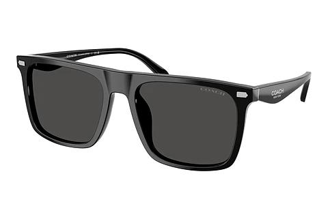 Lunettes de soleil Coach CBY95 (HC8440U 500287)