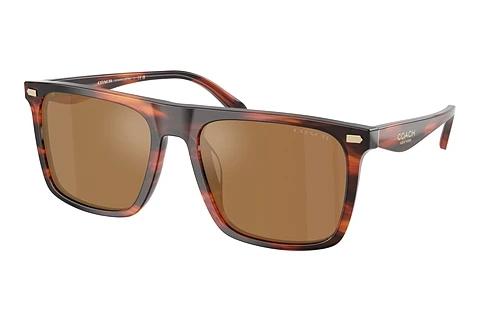 Lunettes de soleil Coach CBY95 (HC8440U 5906/O)