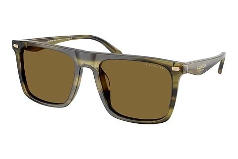 Lunettes de soleil Coach CBY95 (HC8440U 5907S7)