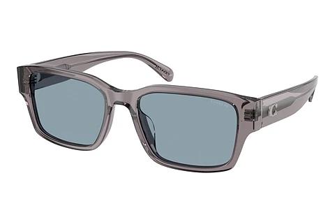 Lunettes de soleil Coach CBY96 (HC8441U 553772)
