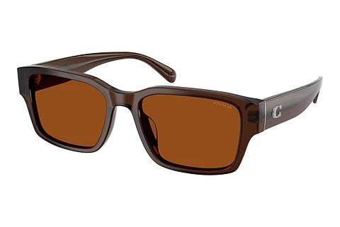 Lunettes de soleil Coach CBY96 (HC8441U 591173)
