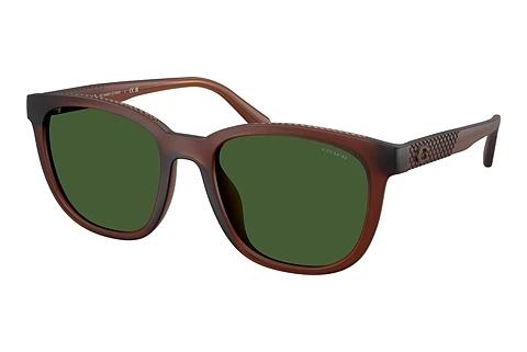 Lunettes de soleil Coach CCA00 (HC8442U 591171)