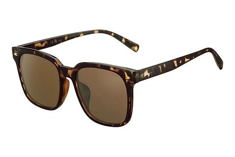 Lunettes de soleil Esprit ET39211 545