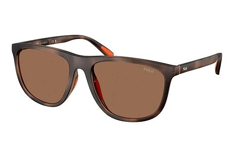 Lunettes de soleil Polo PH4231U 597473