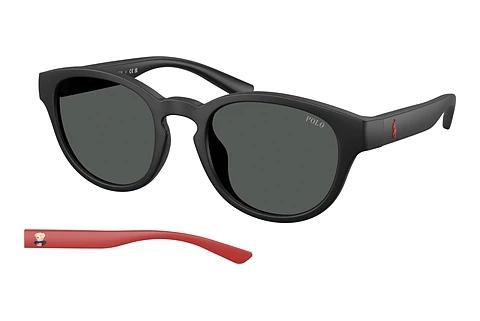 Lunettes de soleil Polo PH4233U 550487