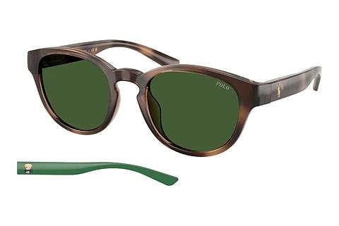 Lunettes de soleil Polo PH4233U 607071