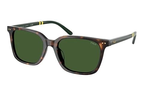 Lunettes de soleil Polo PH4235U 500371