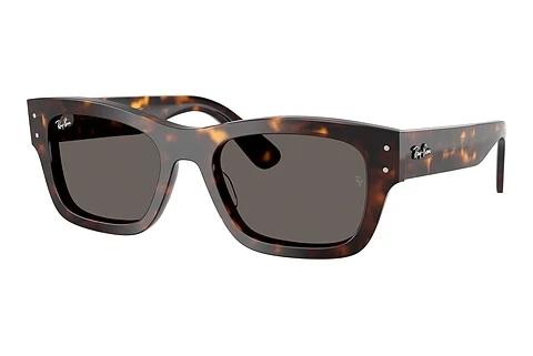 Lunettes de soleil Ray-Ban JOSEPH (RB7683S 902/B1)