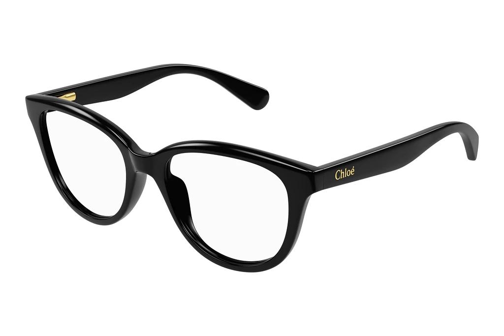 Chloé   CC0021O 001 BLACK