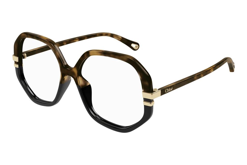 Chloé   CH0107O 011 HAVANA