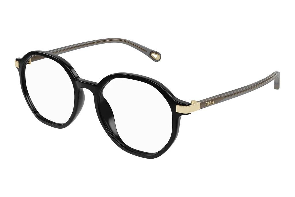 Chloé   CH0249OA 001 