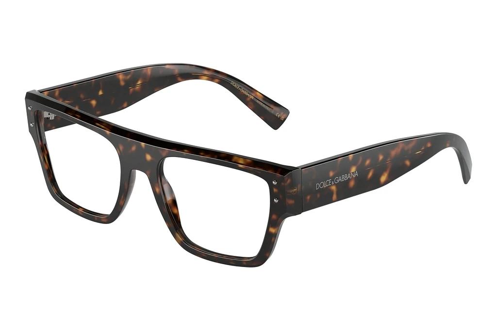 Dolce & Gabbana   DG3384 502 Havana