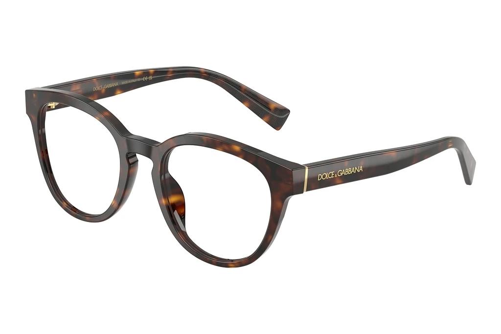 Dolce & Gabbana   DG3421 502 Havana