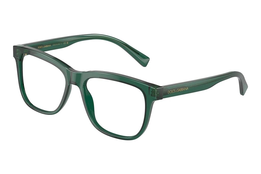 Dolce & Gabbana   DX3356 3008 Transparent Green