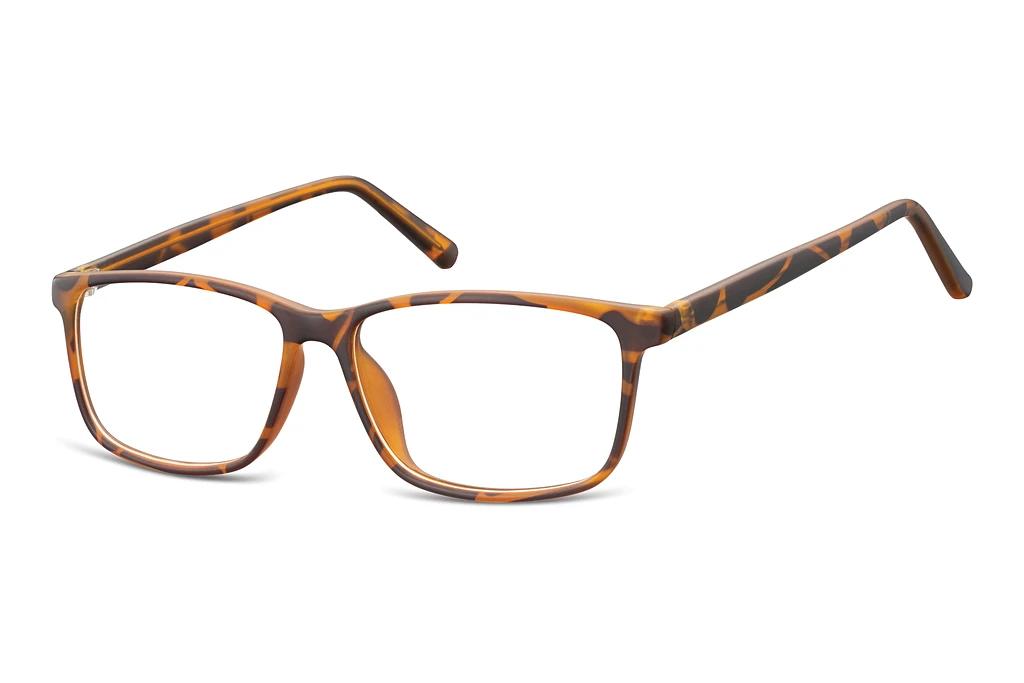 Fraymz   CP130 A Turtle