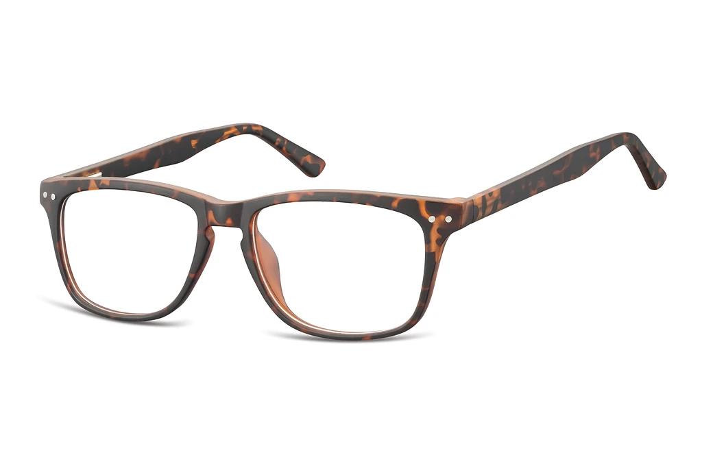Fraymz   CP136 A Turtle