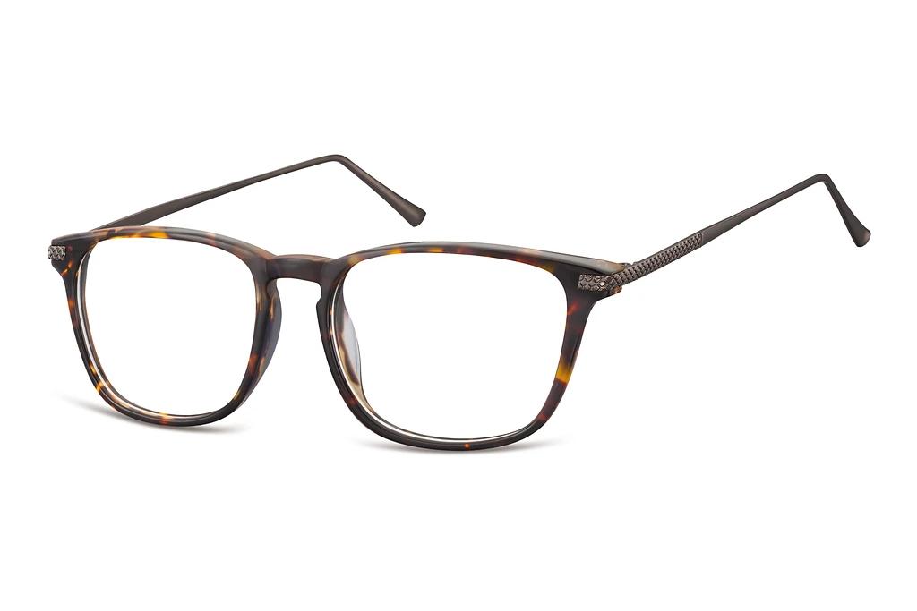 Fraymz   CP144 B Turtle