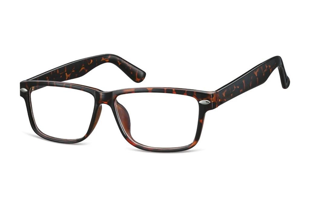 Fraymz   CP166 H Turtle