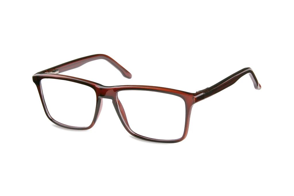 Fraymz   CP175 C Shiny Dark Brown