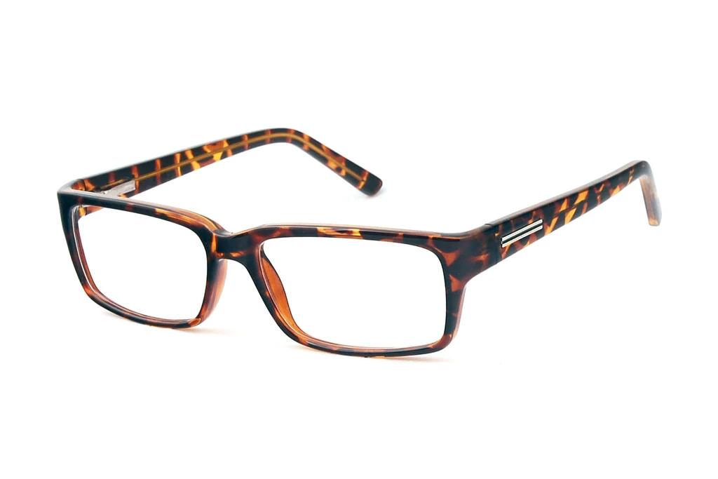 Fraymz   CP180 E Turtle